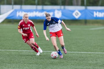 Bild 357 - F Hamburger SV 2 - SpVg Aurich : Ergebnis: 1:1